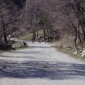 Път при Селимица, Витоша
